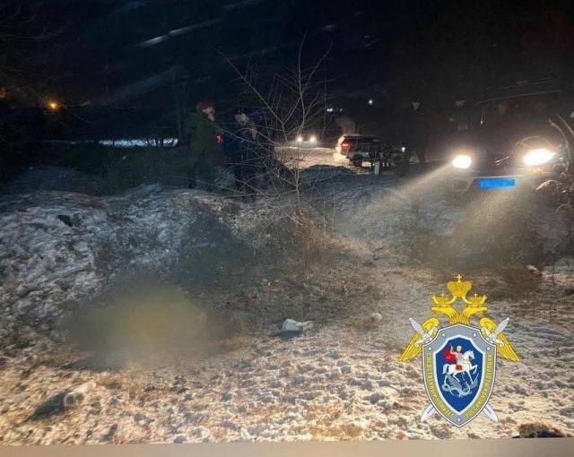 Бездомни кучета нахапаха до смърт малко момиченце