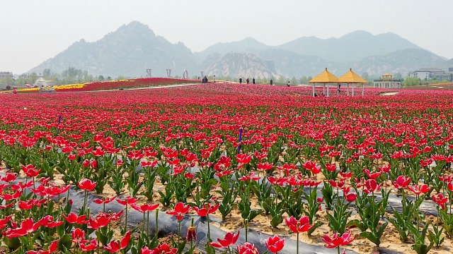 12 април: Светът в снимки