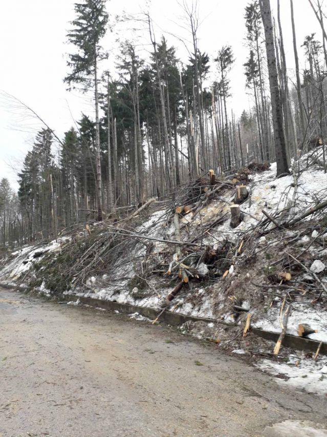 Отварят Отварят