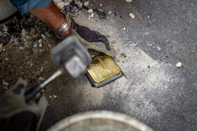  Едно паве, което се отличава от останалите 