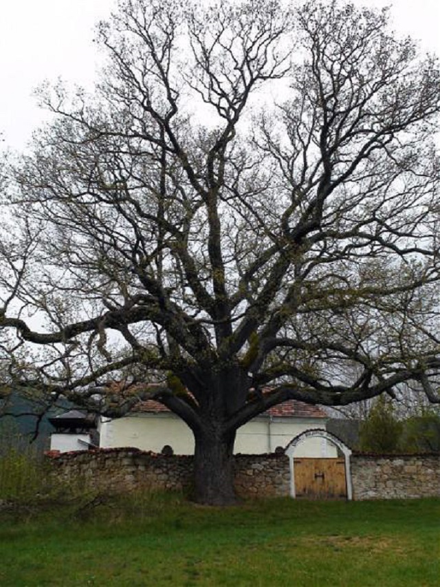 25 февруари: България в снимки