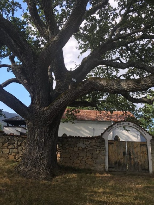 25 февруари: България в снимки