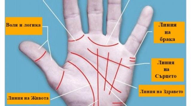 Истината на дланта ти: Научи се да четеш линията на сърцето (ВИДЕО)