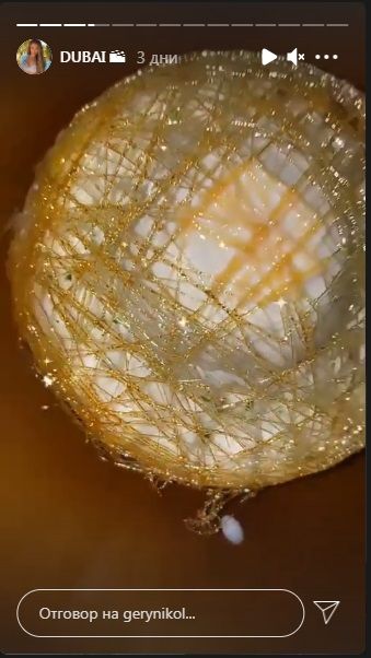  Гери-Никол отиде на отмора в Дубай с новия, яде злато (СНИМКИ) 