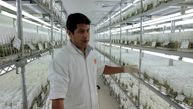 На Марс ще отглеждат картофи