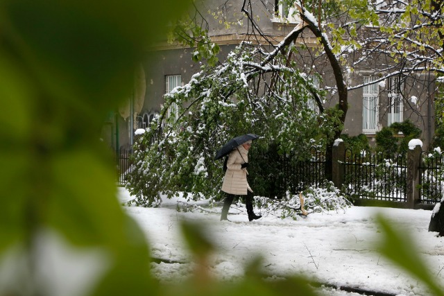 19 април: Светът в снимки