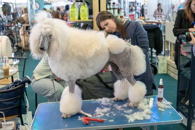 София ще бъде домакин на най-голямото изложение на животни в България – SOFIA ZOO EXPO 2026