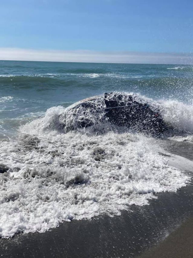  Разходка по плажа с Tesla Model X приключи в океана 