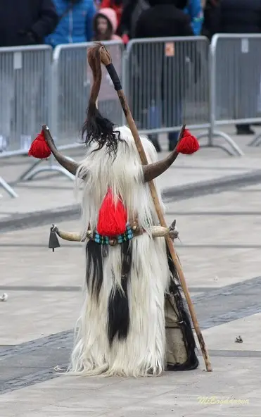 Над 13 000 участници в тазгодишното издание на „Сурва 2026“ (ВИДЕО+СНИМКИ)