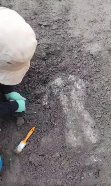 Откриха мраморен торс на още един гръцки бог в Хераклея Синтика (ВИДЕО)