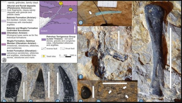 Сензационна находка край Годеч