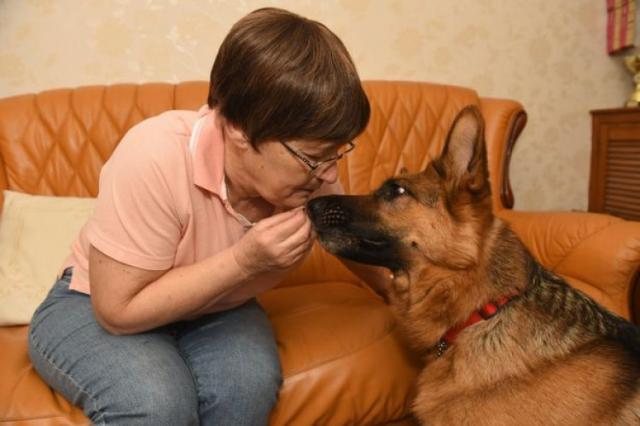 Кучета спасиха стопанката си от най-коварната болест