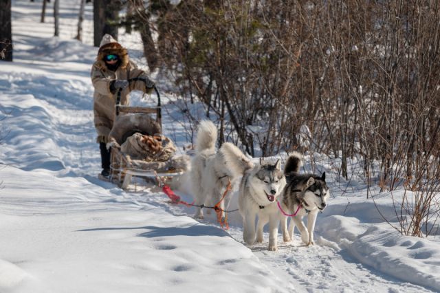 `Най-студеното