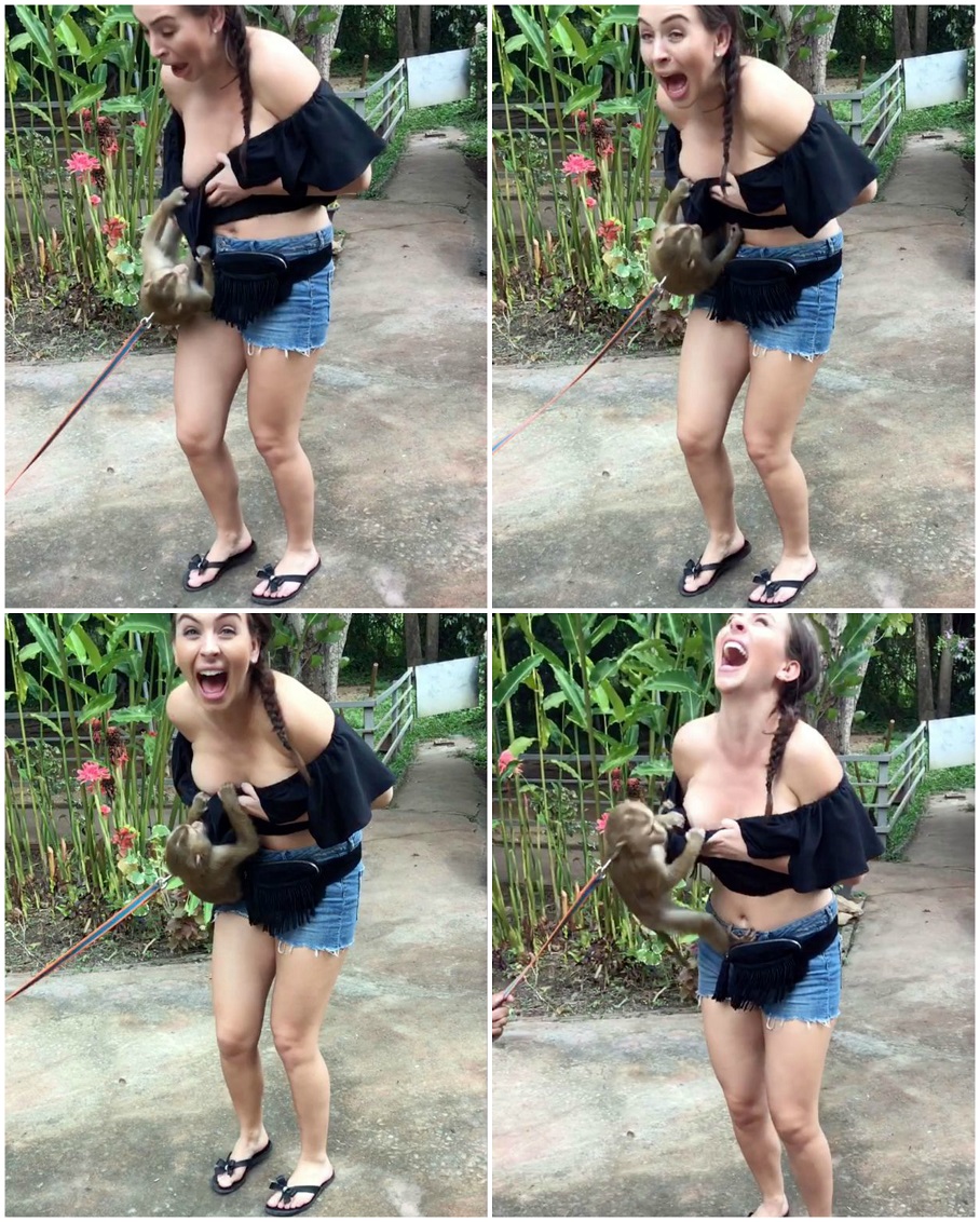 Палаво маймунче разголи гърдите на туристка, защото... (ВИДЕО + СНИМКИ)