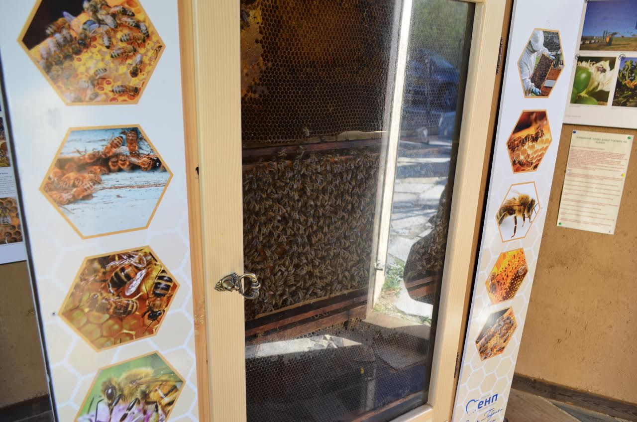 Уникален музей на пчелата официално отвори врати в София