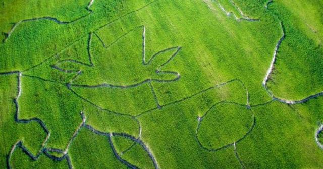  Страната на лабиринтите (СНИМКИ) 