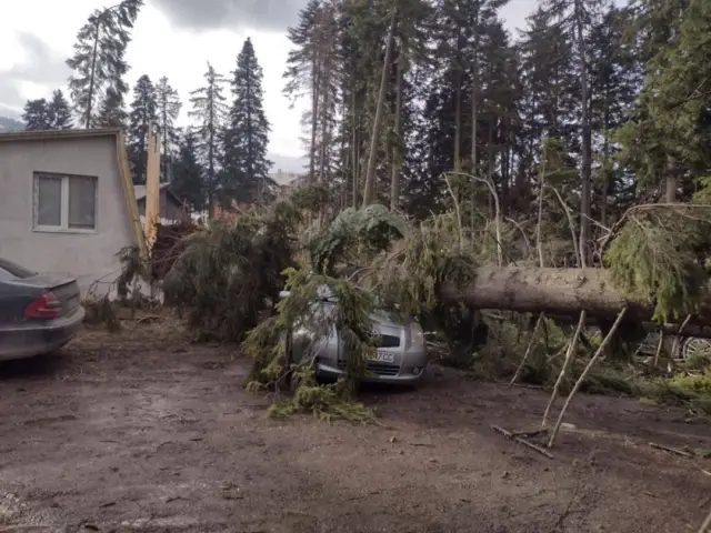 Силният вятър прекърши борове в курорта Боровец! Задействана е и системата BG-ALERT СНИМКИ | ФАКТИ.БГ Силният вятър прекърши борове в курорта Боровец! Задействана е и системата BG-ALERT СНИМКИ