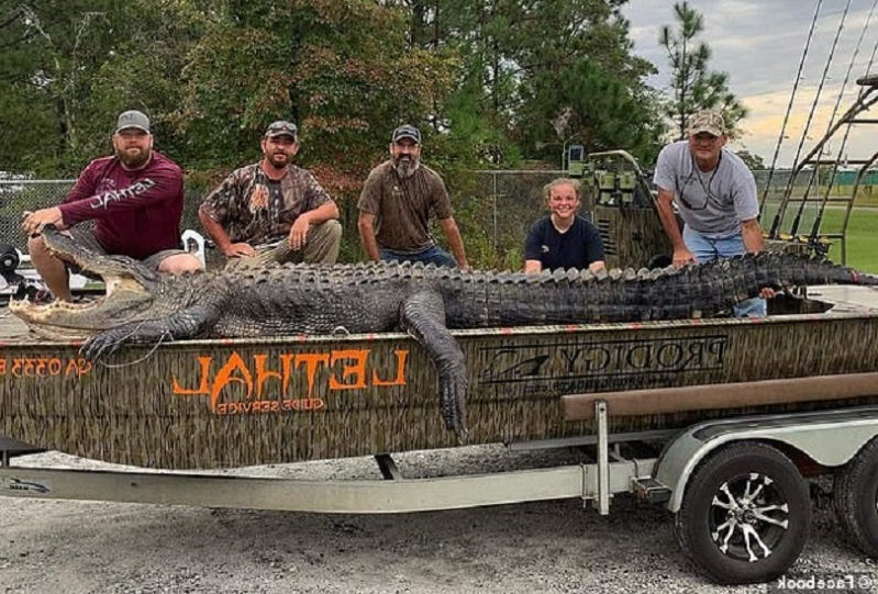 Чудовищен алигатор донесе рекорд на американски ловец (ВИДЕО)