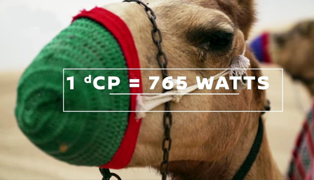 Nissan предлага камилска вместо конска сила