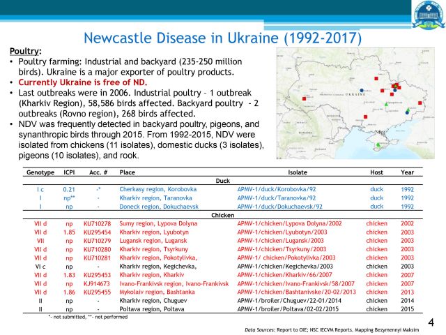 Нюкасълската болест в Украйна