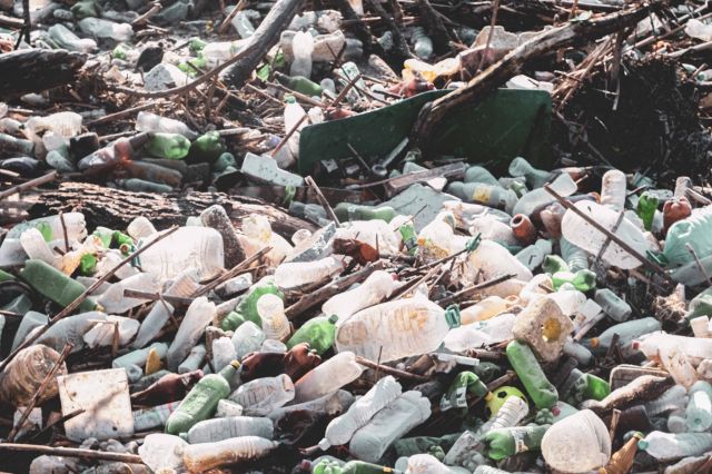 За екокатастрофата в р. Искър - ``Грийнпийс`` - България пред ФАКТИ | ФАКТИ.БГ За екокатастрофата в р. Искър - ``Грийнпийс`` - България пред ФАКТИ