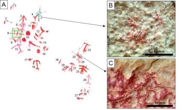  Откриха отпечатъци от пръсти по рисунки в неолитна пещера 