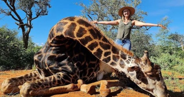 Млада жена извади сърцето на жираф и се похвали във Facebook