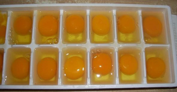 Защо хората масово замразяват яйца?  СНИМКИ