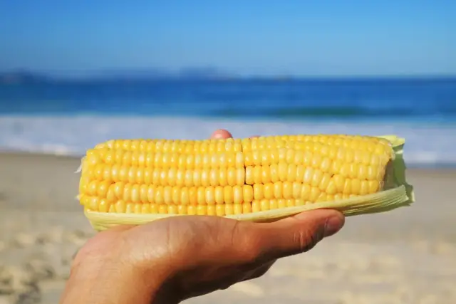  Царевицата на плажа: Как се промени цената ѝ за последното десетилетие? 