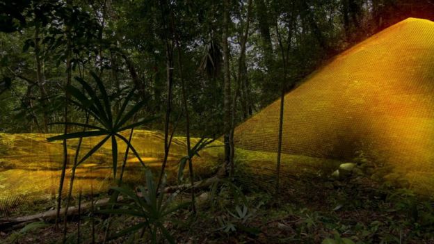 Невероятно откритие изплува от джунглата и смая археолозите (ВИДЕО)