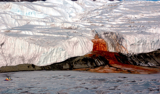 Разгадаха тайната на кървав водопад в Антарктида