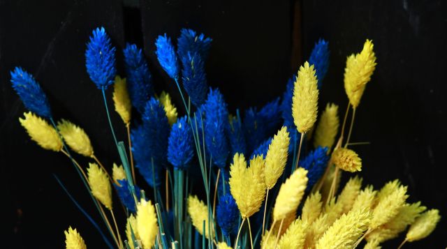 Западни лидери поздравиха Украйна за Деня на независимостта 