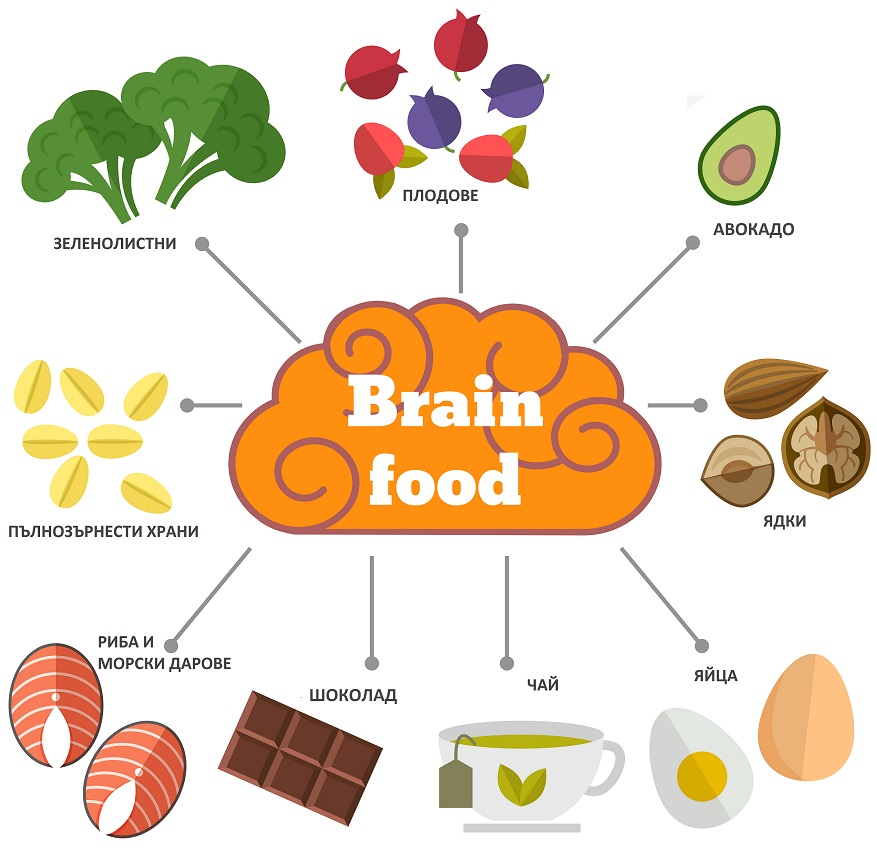 5 добри храни за мозъка (ВИДЕО)