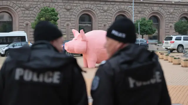 Прасе-касичка пред парламента