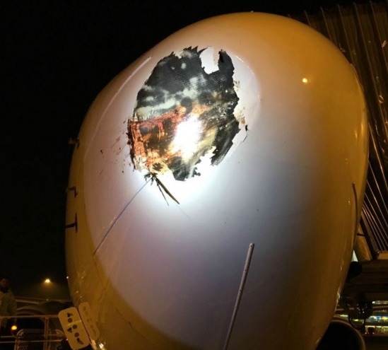 Птица се заби в носа на самолет, вижте щетите