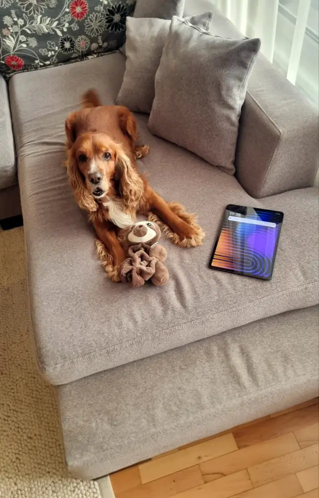 Таблетът с най-хубавото съответствие цена-качество