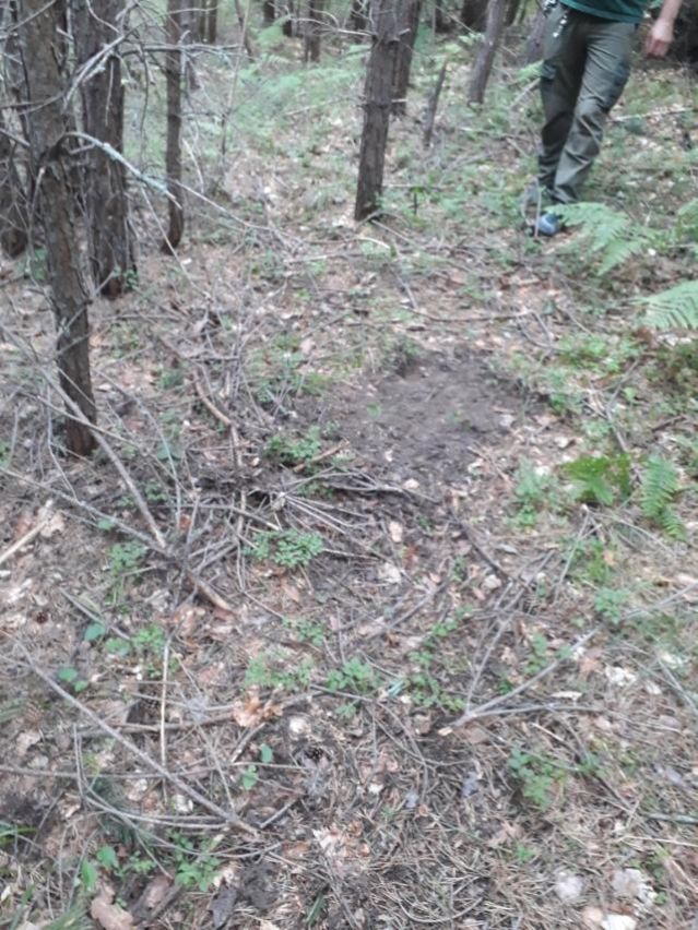  Министерство на околната среда и водите ревизира мястото на случая край Белица 