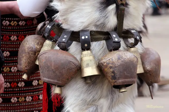 Над 13 000 участници в тазгодишното издание на „Сурва 2026“ (ВИДЕО+СНИМКИ)