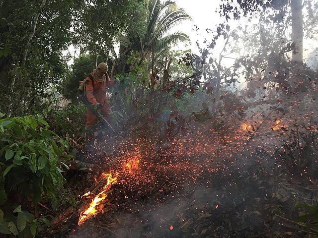 Бразилия под прицел! Пращат армията срещу огъня в Амазония (ВИДЕО+СНИМКИ)