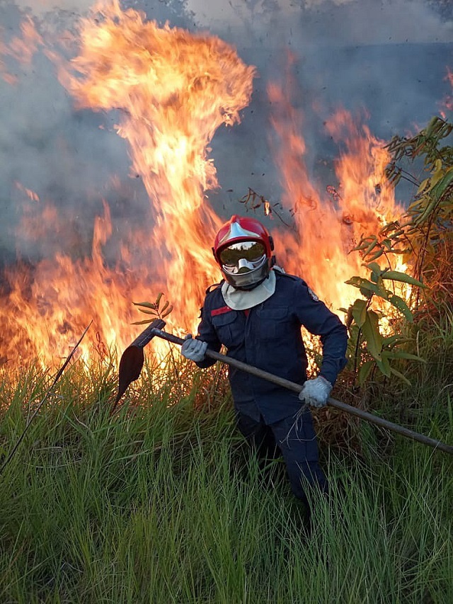 Бразилия под прицел! Пращат армията срещу огъня в Амазония (ВИДЕО+СНИМКИ)