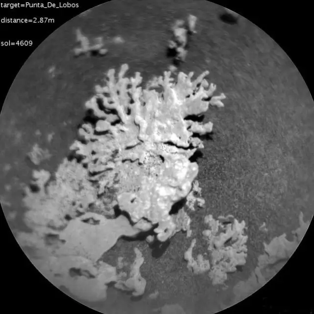 Марсоходът Curiosity откри „ корал “ на Марс на милиарди години