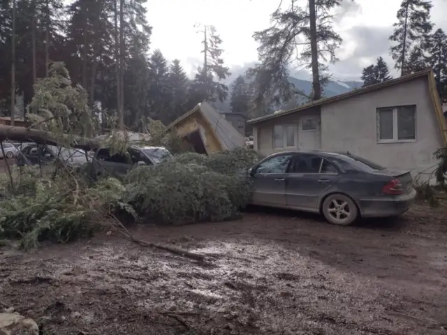 Силният вятър прекърши борове в курорта Боровец! Задействана е и системата BG-ALERT СНИМКИ | ФАКТИ.БГ Силният вятър прекърши борове в курорта Боровец! Задействана е и системата BG-ALERT СНИМКИ