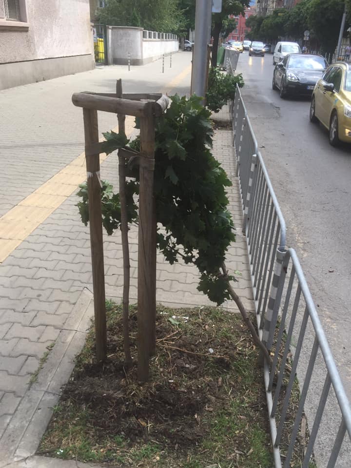 Невиждана простащина на столичната улица "Раковски" (ВИДЕО + СНИМКИ)