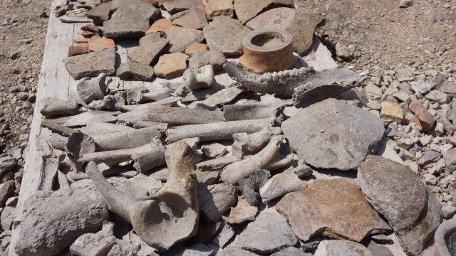 Археолози от БАН откриха гроб на 7600 години