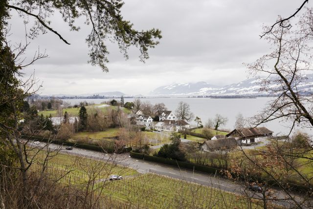 Тина Търнър си купи огромно имение в Швейцария (СНИМКИ)