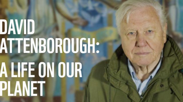  Сър Дейвид Атънбъро и най-важният филм на годината (ВИДЕО) 