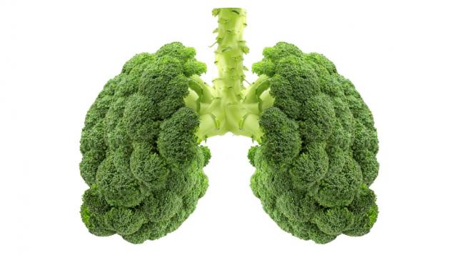 6 храни, които пазят белите ни дробове