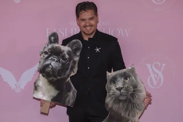 Актьорът Дилън Спраус заплаши с пистолет и задържа крадец в дома си