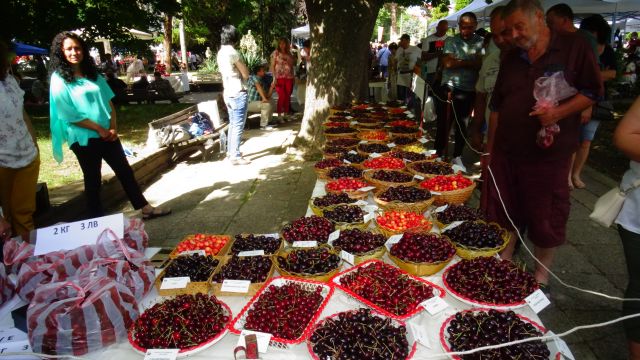  Стотици се събраха в Кюстендил за празника на черешата 