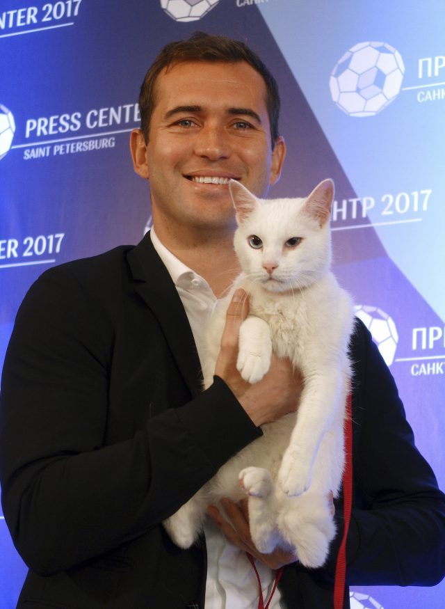 Котка ще вдига рейтинга на Световното в Русия